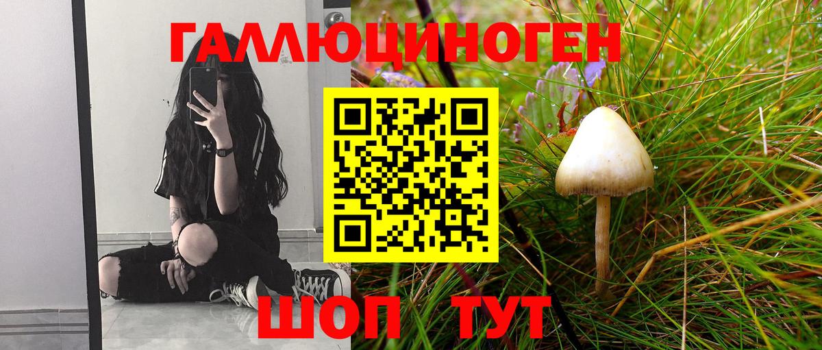 Галлюциногенные грибы MAGIC MUSHROOMS  Вход с VPN  Тихвин 